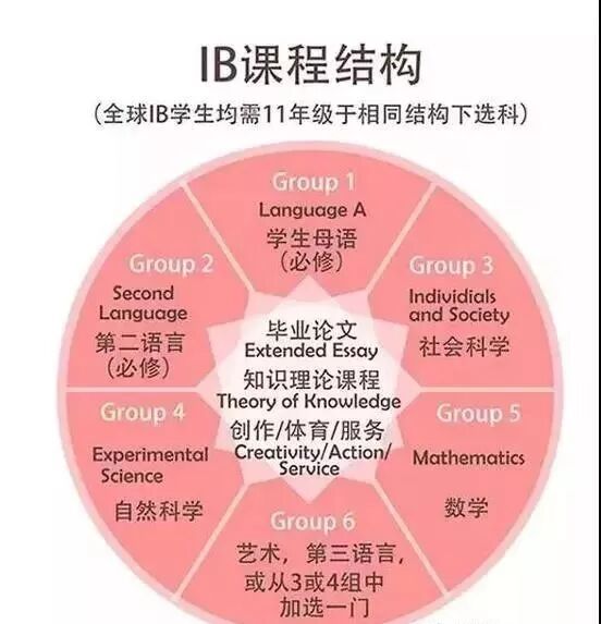 全球国际学校考试满分考生，新加坡占一半多