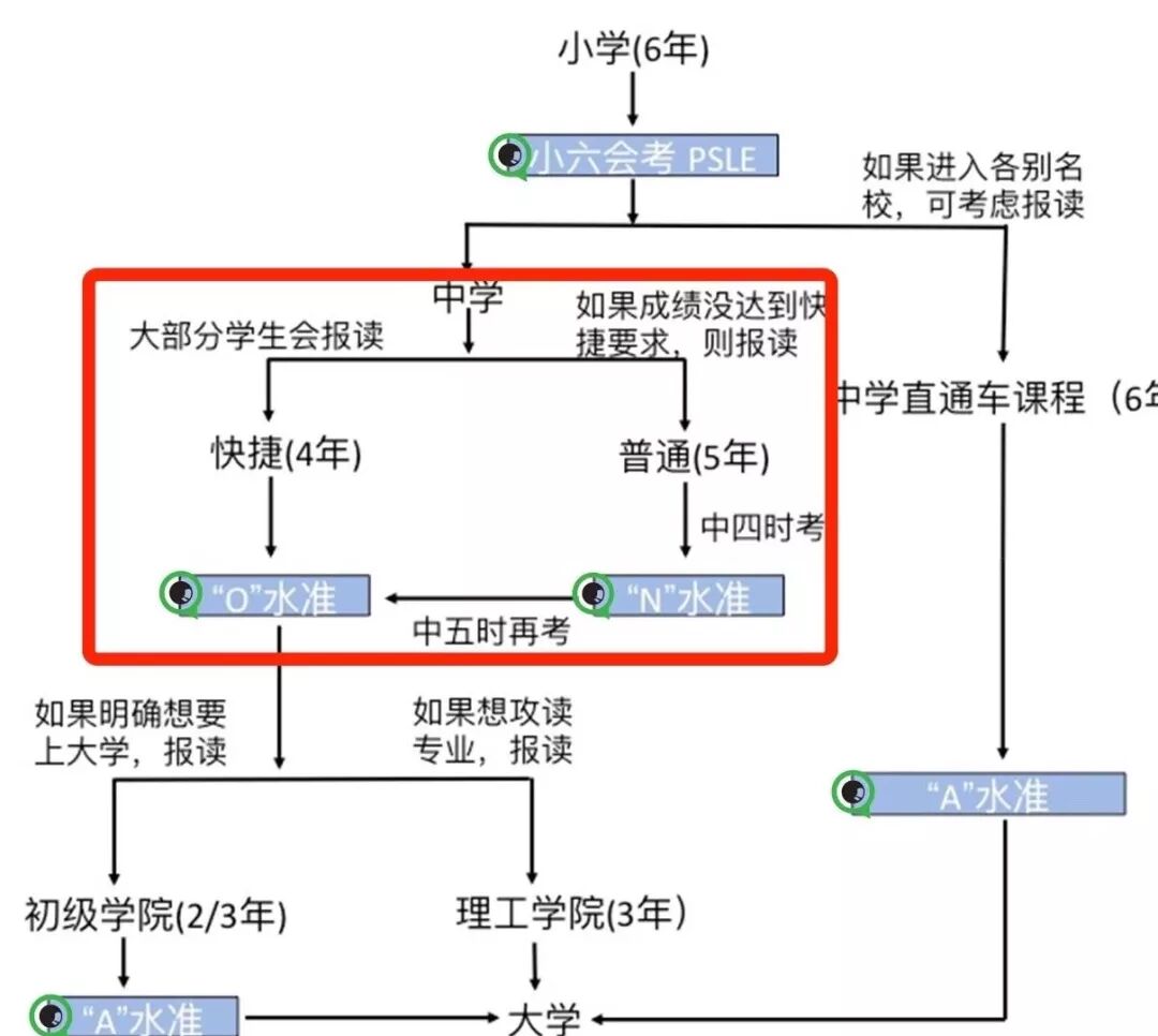 全球国际学校考试满分考生，新加坡占一半多