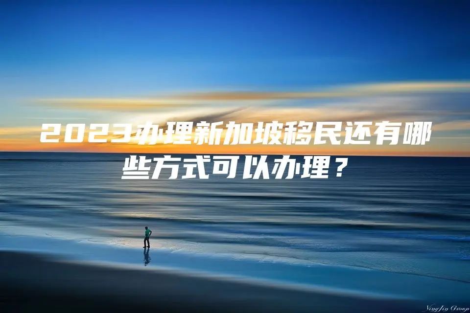 2023办理新加坡移民还有哪些方式可以办理？