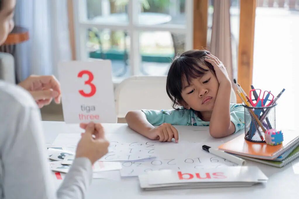 新加坡陪读家长需要知道的一些基本知识