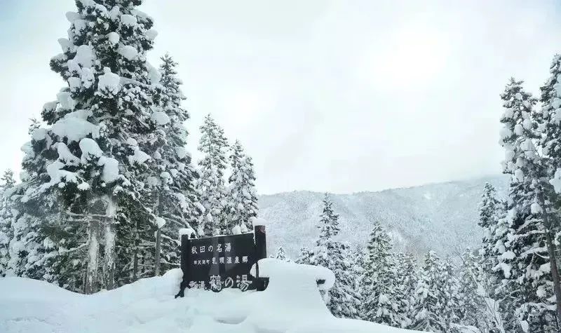 雪景、雪祭、温泉、滑雪，日本的冬天绝对花式满足你