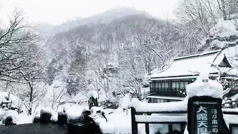 雪景、雪祭、温泉、滑雪，日本的冬天绝对花式满足你