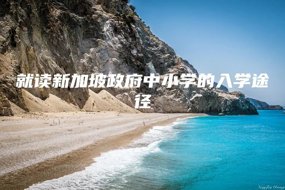 就读新加坡政府中小学的入学途径