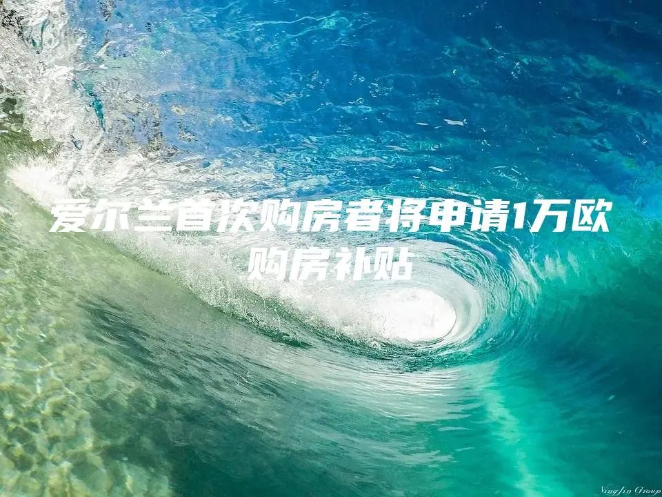 爱尔兰首次购房者将申请1万欧购房补贴