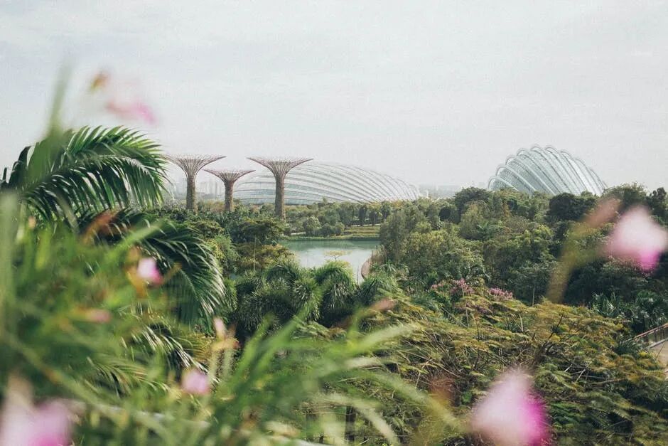 重磅！新加坡准证申请制度将迎来大改！