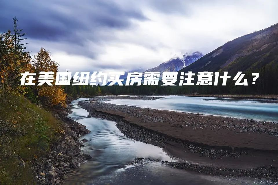 在美国纽约买房需要注意什么？