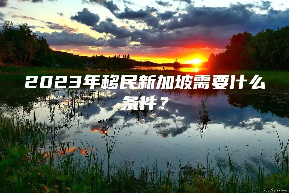 2023年移民新加坡需要什么条件？