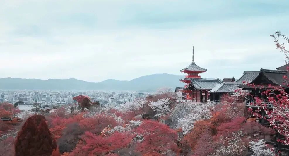 日本资讯 | 日本疫情的曙光，投资的朝阳方向！