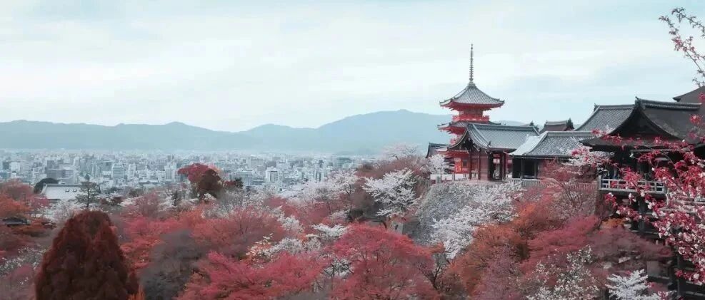 日本资讯 | 日本疫情的曙光，投资的朝阳方向！