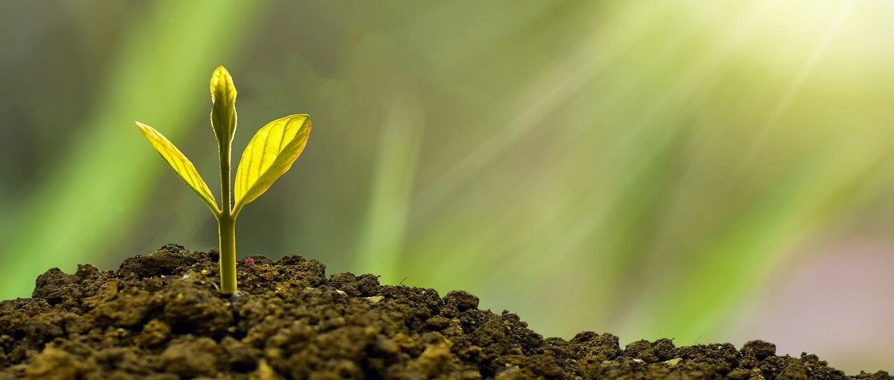 财富传承 | 崛起的家族办公室大时代，你了解多少？