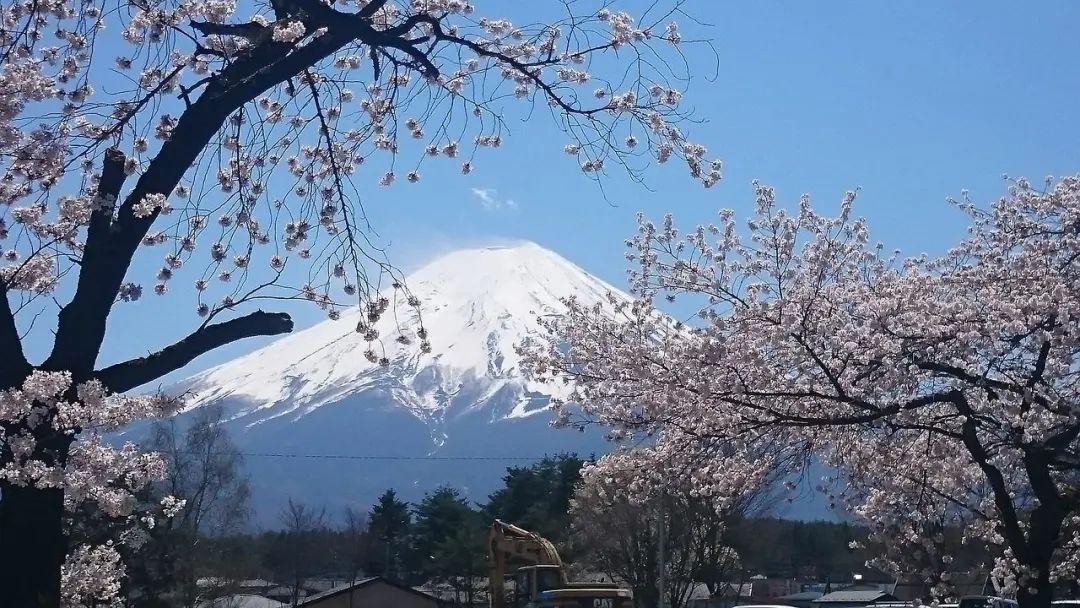 哪些人适合移民日本？日本有哪些福利？