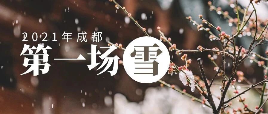 成都下雪啦！2021年成都第一场雪真的来了 ，好激动！好大！