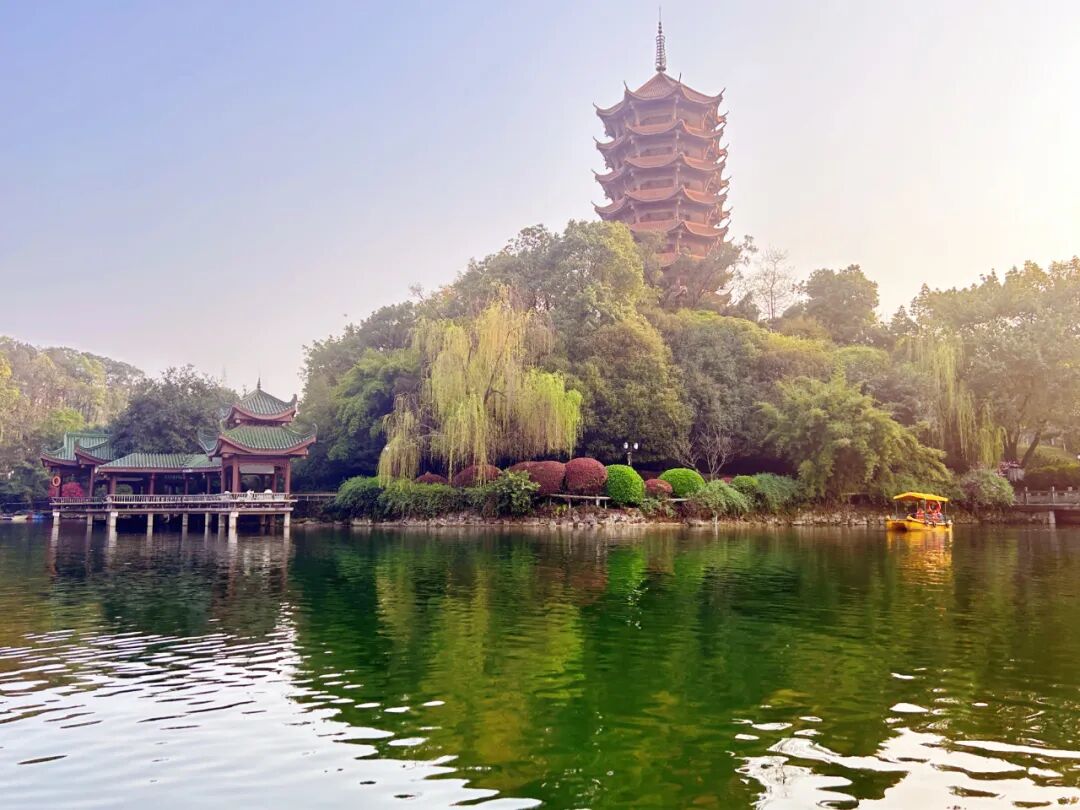 是谁的乡愁碧津公园踏春行