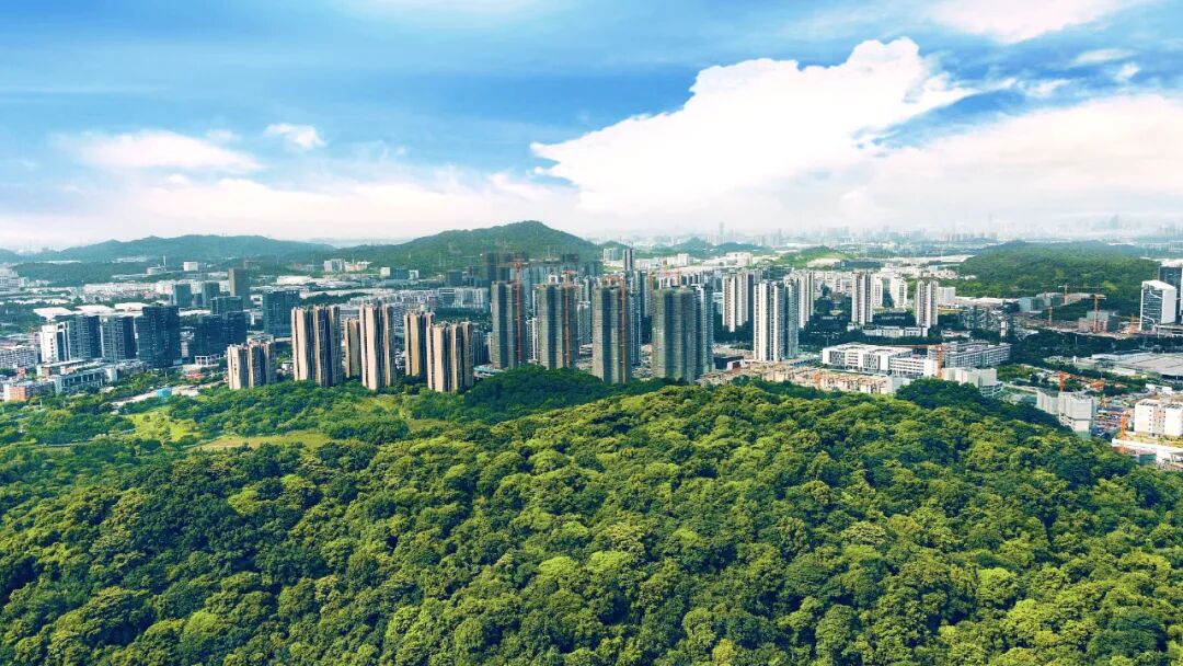 黄埔时代天境7月将交付575套房源