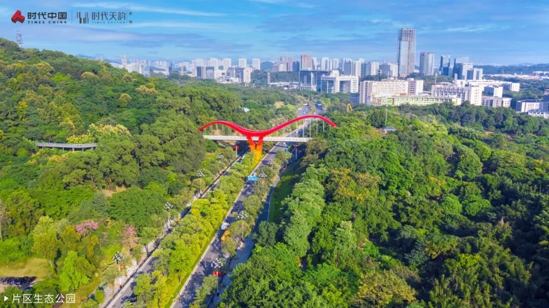 五一期间，黄埔时代天韵加推全新楼栋，值得买！