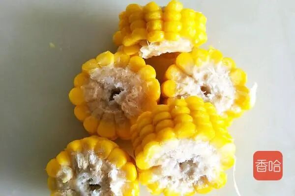 減肥餐_餐減肥吃紅薯可以嗎_餐減肥餐