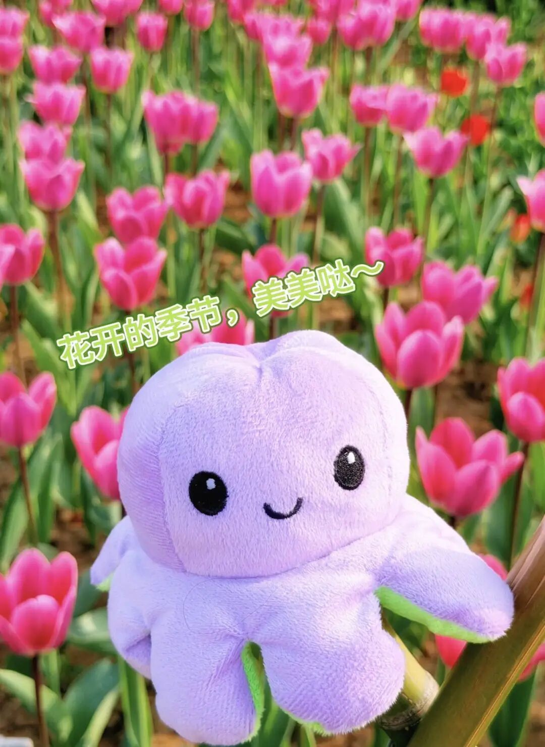 6f36f0dbaf8a45c9bad46da193efb524_720.png