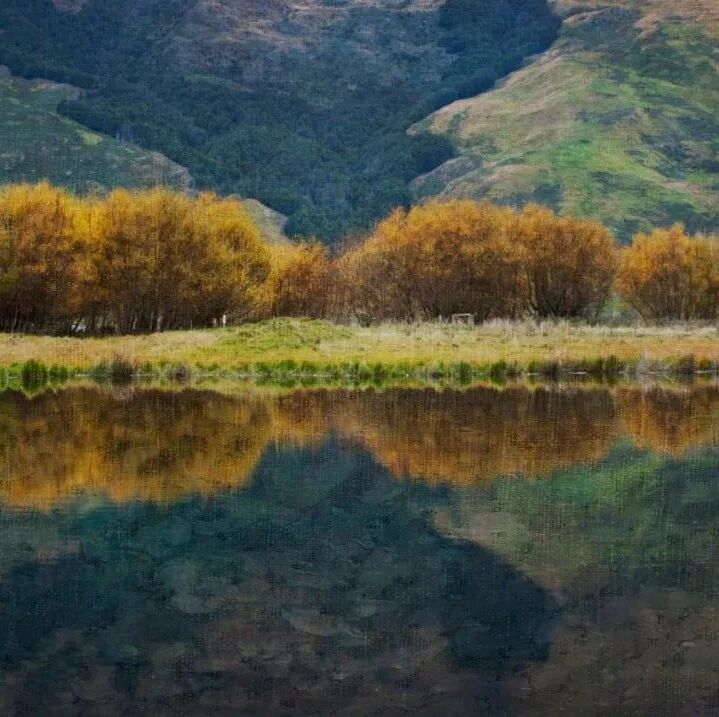 这5句人生真相，再忙也要读一读