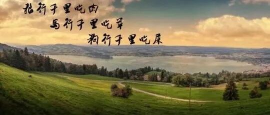 狼行千里吃肉，马行千里吃草！（我读了5遍，震撼了）