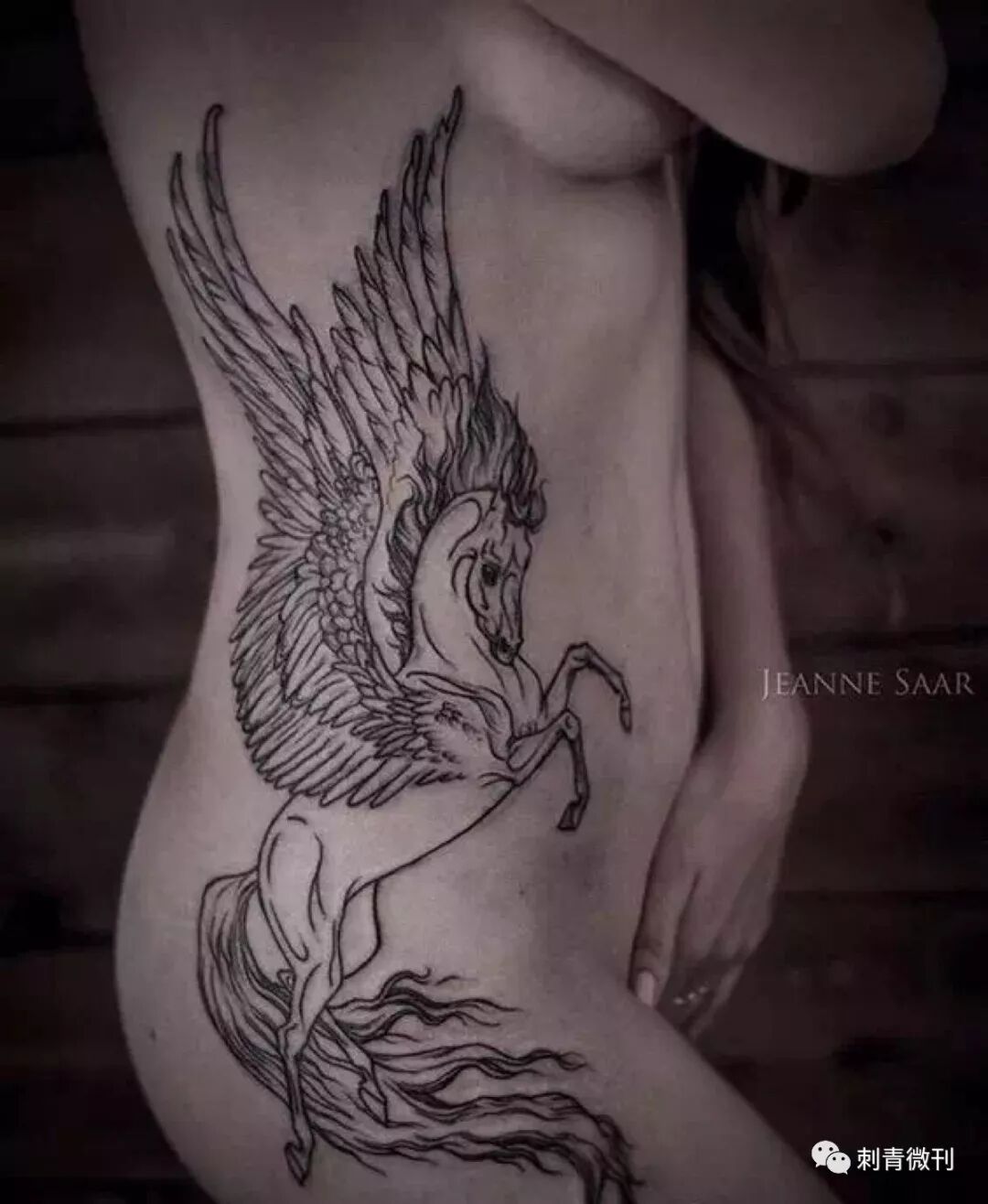 侧腰腹的美 刺青微刊 微信公众号文章阅读 Wemp