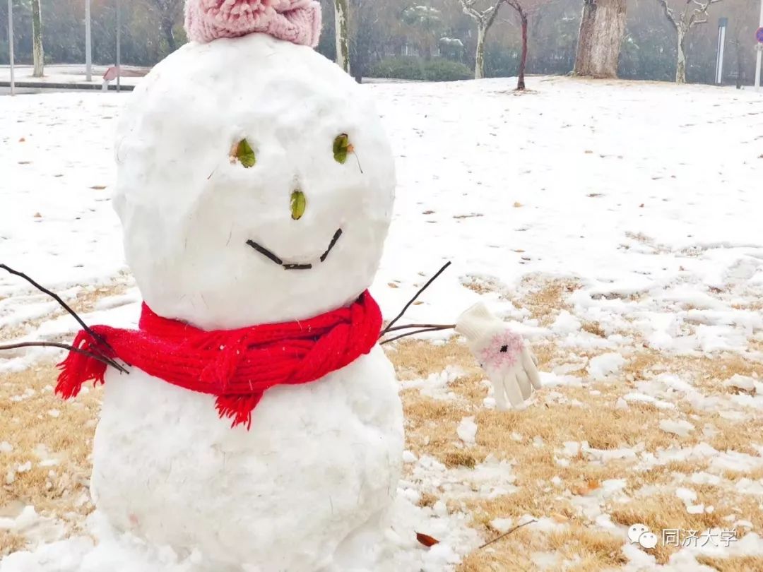 最美的時光是雪天與你走過的同濟校園 戲劇 第20張