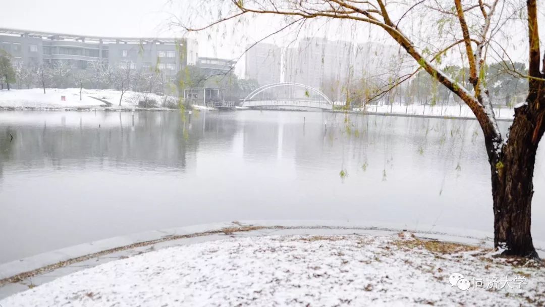 最美的時光是雪天與你走過的同濟校園 戲劇 第15張