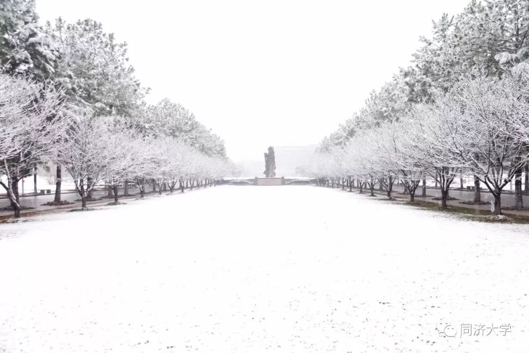 最美的時光是雪天與你走過的同濟校園 戲劇 第4張