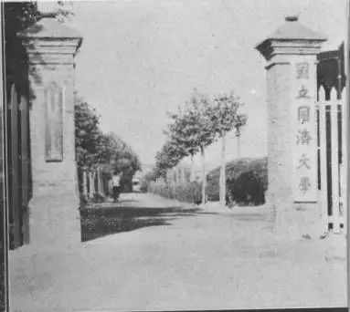 同济大学，为什么这么牛？！