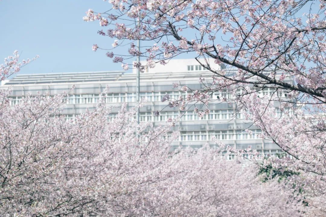 考研查詢成績(jī)時(shí)間_考研成績(jī)查詢2024_考研查詢成績(jī)需要什么信息