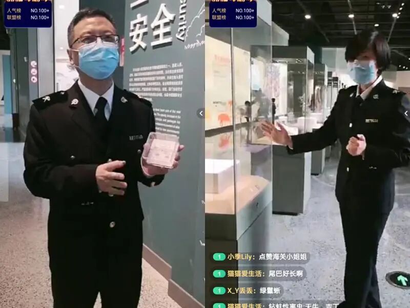 还有人从国外寄来20多只果蝠标本？海淘代购注意了，邮寄蜥蜴、盆景入境，可能会入刑（组图） - 2