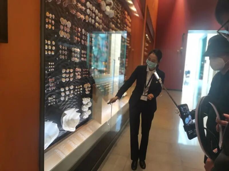 还有人从国外寄来20多只果蝠标本？海淘代购注意了，邮寄蜥蜴、盆景入境，可能会入刑（组图） - 1