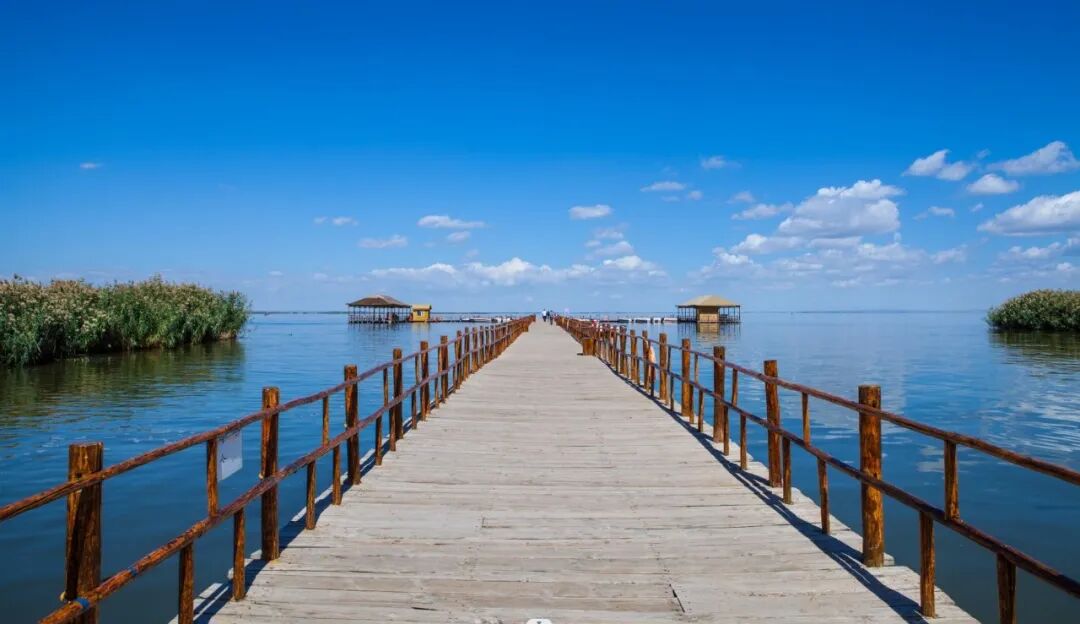 巴彦淖尔市不负春光不负青相约清明来踏青