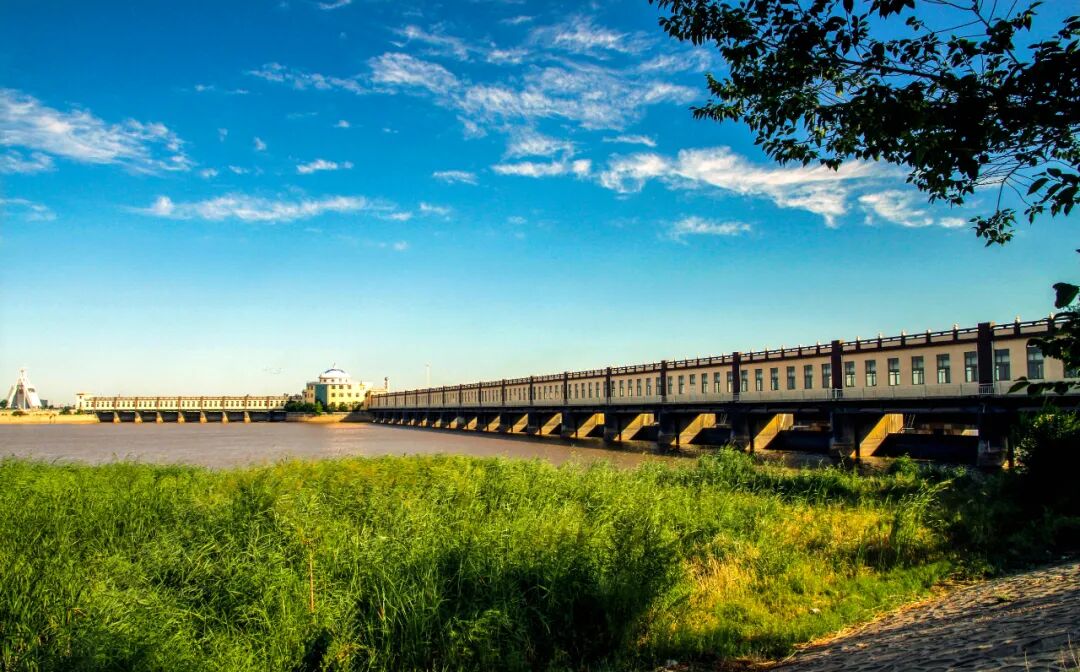 巴彦淖尔市不负春光不负青相约清明来踏青