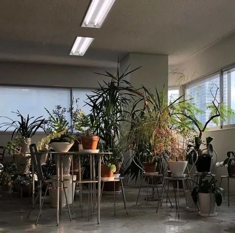 在东京sanaa是怎样的一种体验 Hi有料