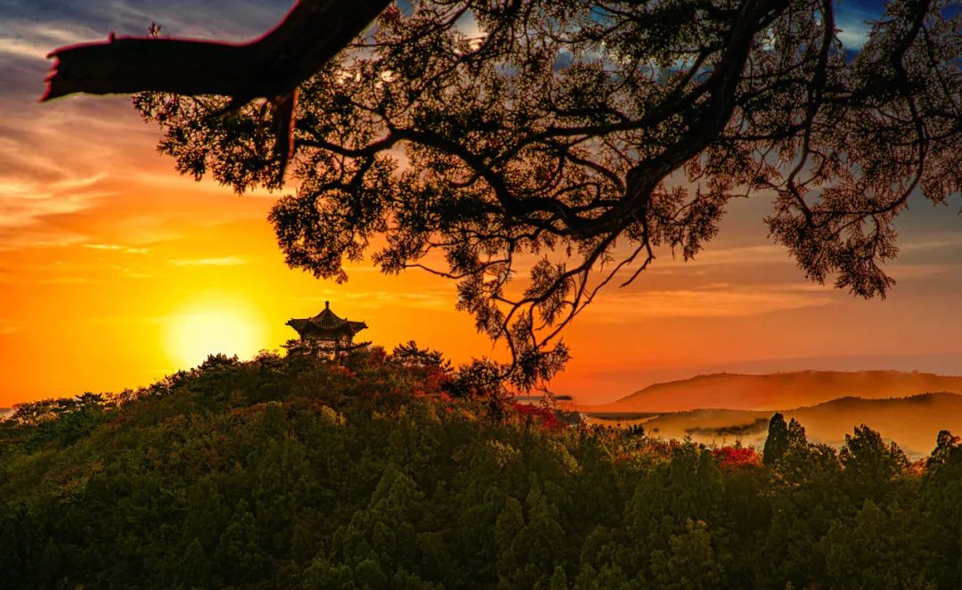 晋在眼前太原西山漫山红遍