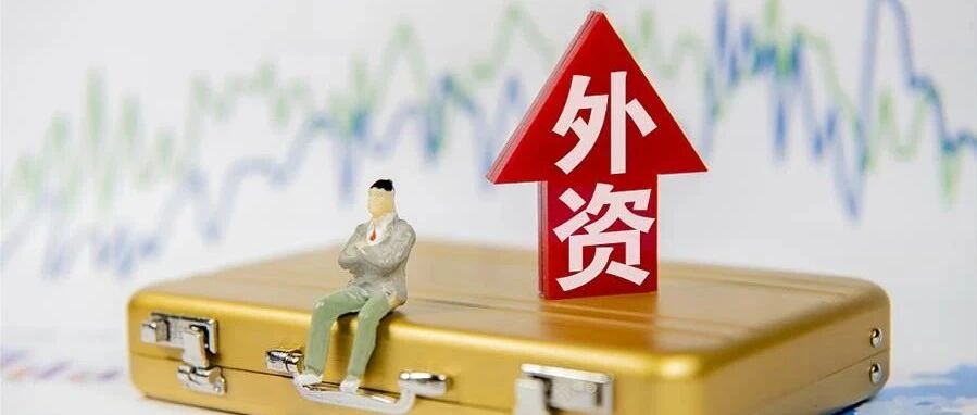 “十三五”吸收外资6900亿美元，“十四五”如何继续发力？