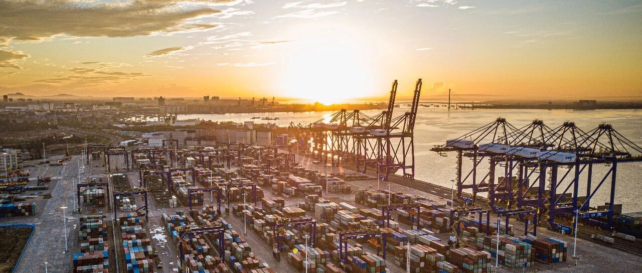 中国经济“韧实力”坚定诸多在华外企长期投资信心