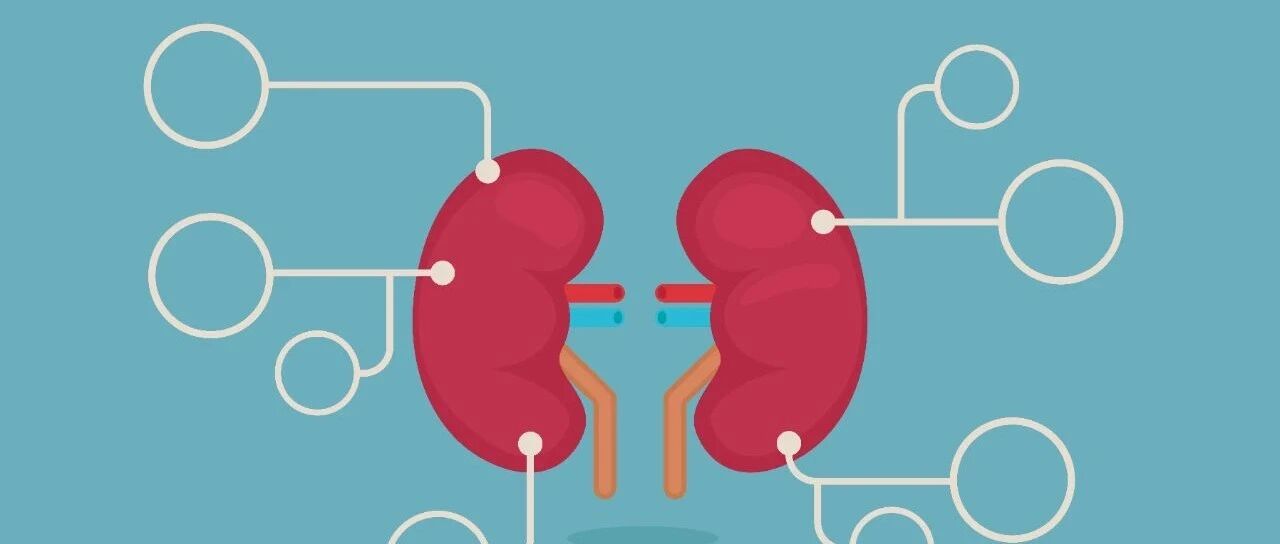 病因层面治疗 IgA 肾病？靶向治疗了解一下！