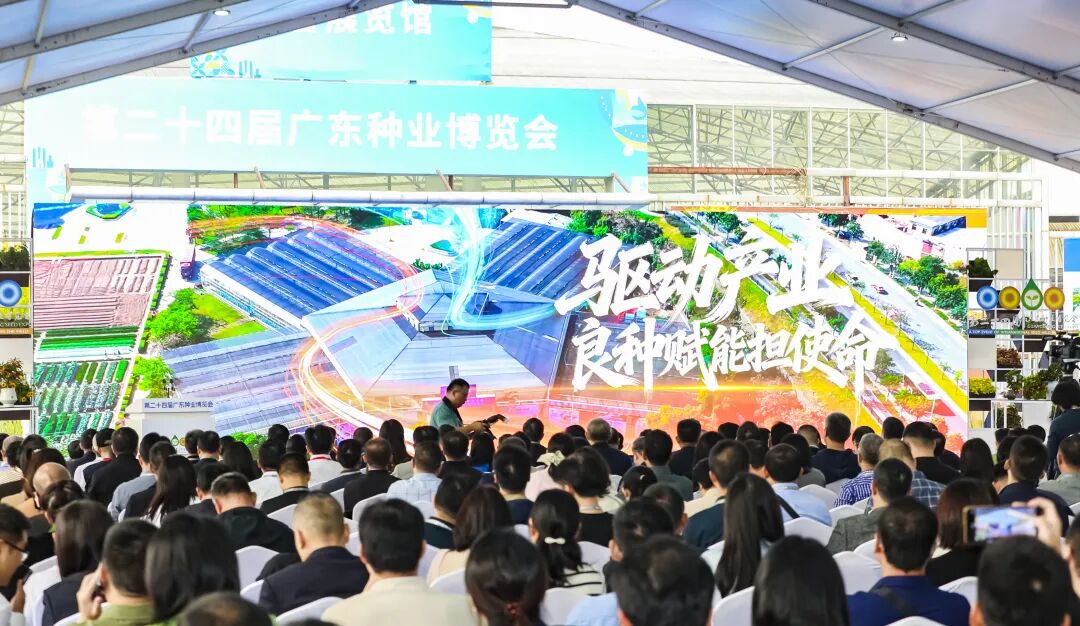 大会开幕式现场。