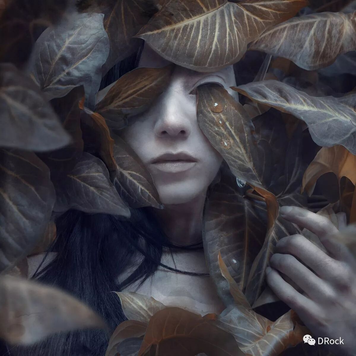 神秘力量与诡异美学的诗性 |黑暗艺术是marcela bolívar揭开万物面纱