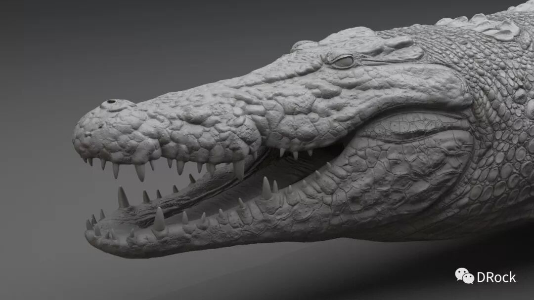 鳄鱼3d建模教学视频 | 3d建模师dmytro teslenko