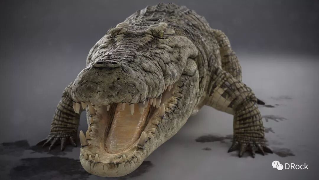 鳄鱼3d建模教学视频 | 3d建模师dmytro teslenko