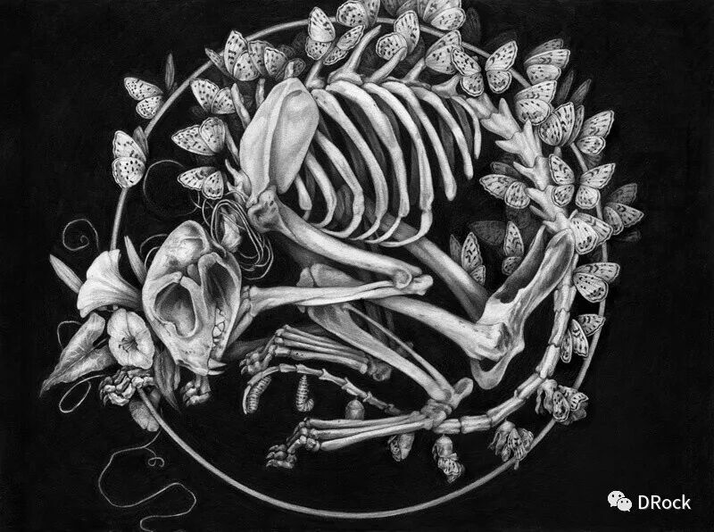 生命拥抱死亡美女插画师christinamrozik对自然具有看似矛盾的双重