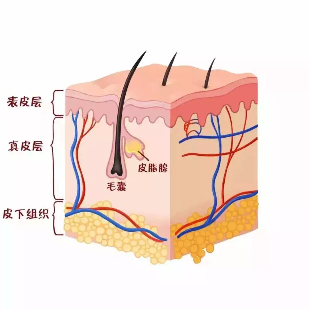 【头皮健康】头皮也会“生病”？快来看看这些症状你有没有！