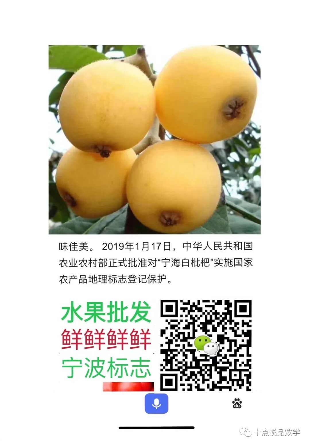 宁海白枇杷，提前预定，价格实惠