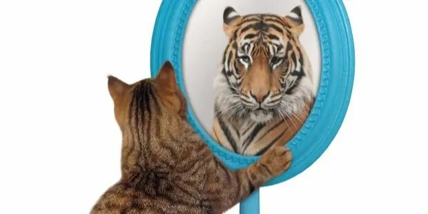 GG扑克官方下载