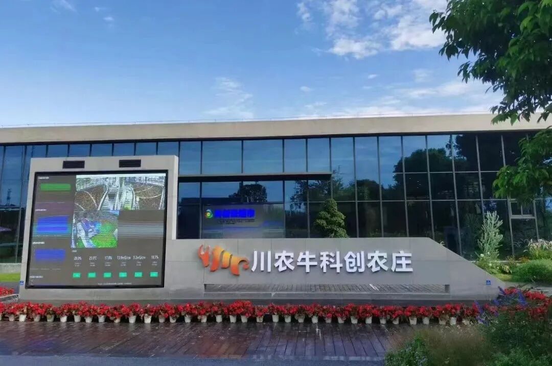 这是温江把现代都市农业作为三大地标产业之一,持续聚优培强,激发乡村