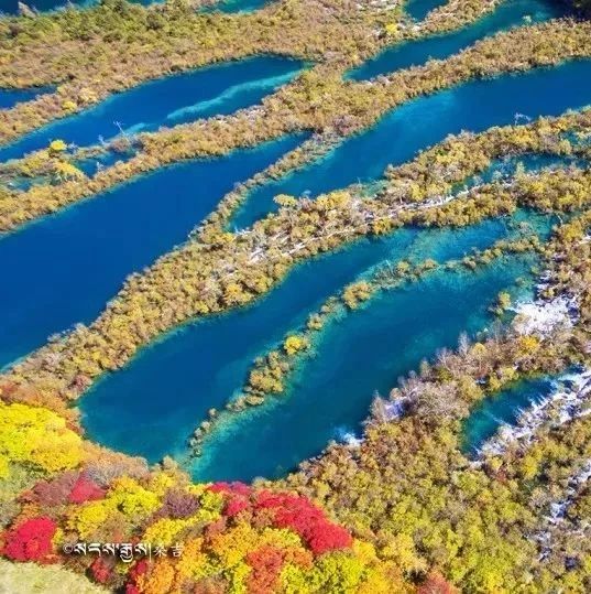 五花海 微信公众号文章搜索结果 微信公众号文章阅读 Wemp