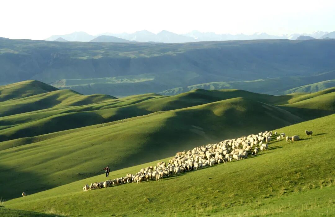 亚洲必赢·(中国区)唯一官方网站