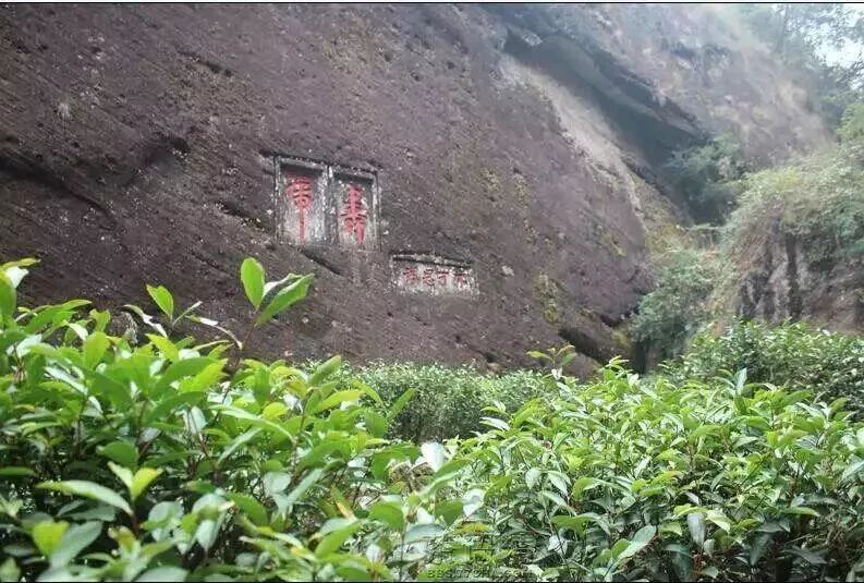 武夷岩茶里"坑、涧、窠、窝、洞、峰、岩"